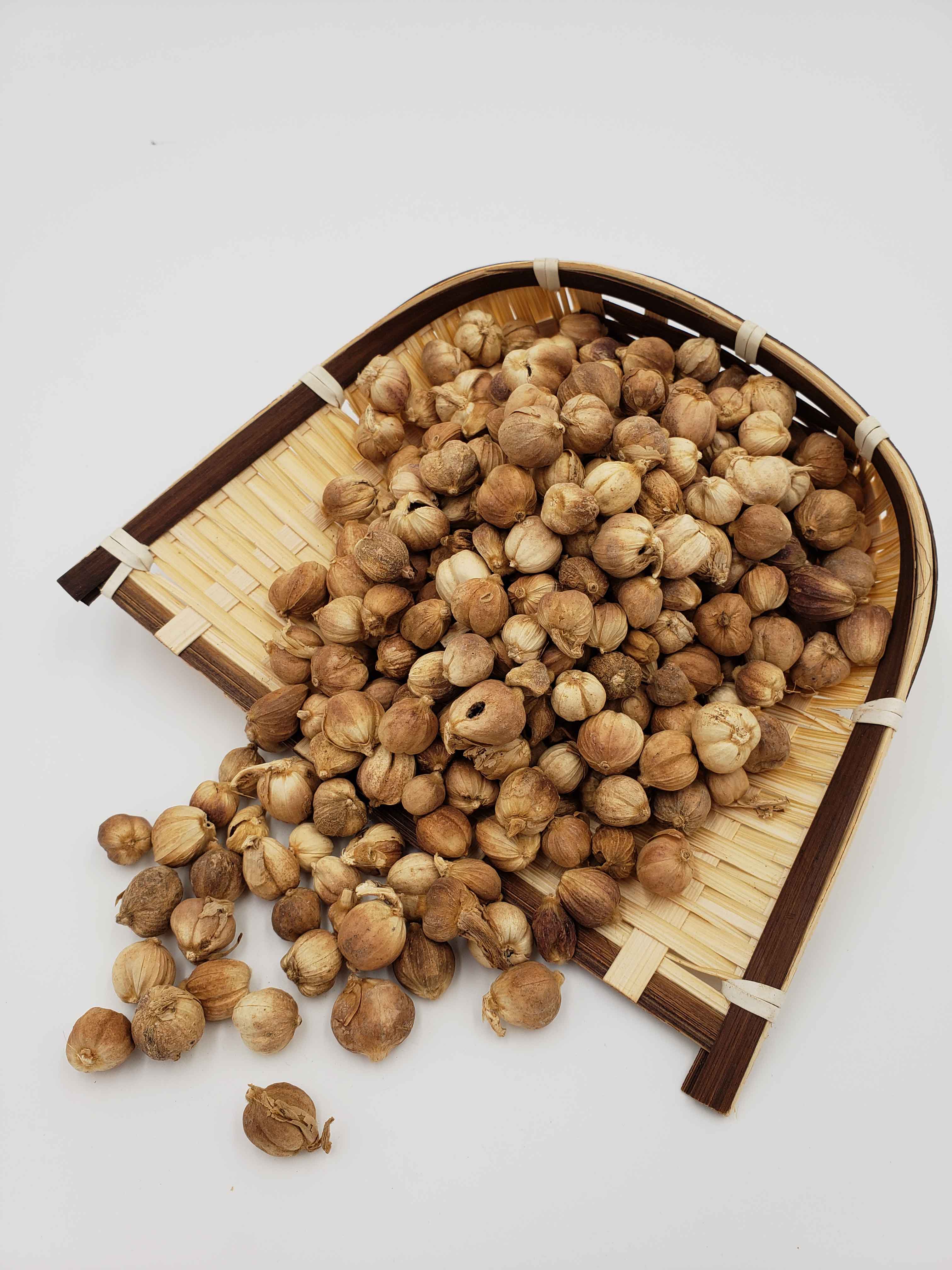 重慶香料批發(fā)-白蔻